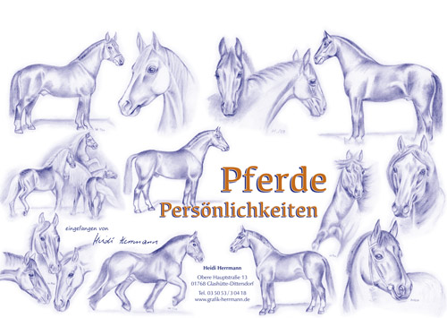 Kalender "Pferdepersönlichkeiten"