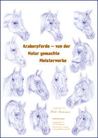 Kalender "Araberpferde &ndash; von der Natur gemachte Meisterwerke"